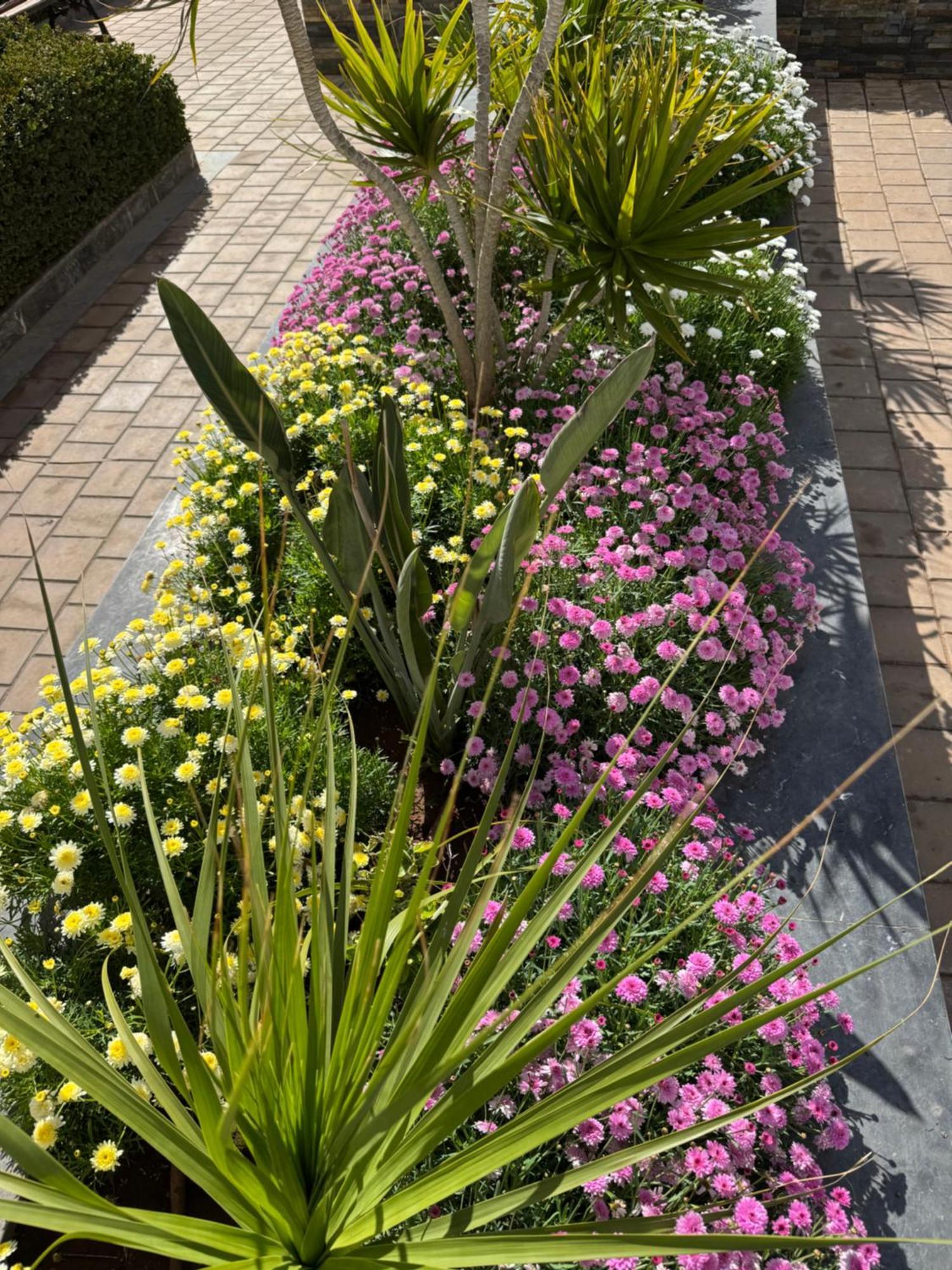Appartement Luxueux Casa Nearshore Casablanca Buitenkant foto